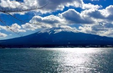 日本好莱坞大学游学之游玩篇银座、新宿、富士山、浅草寺